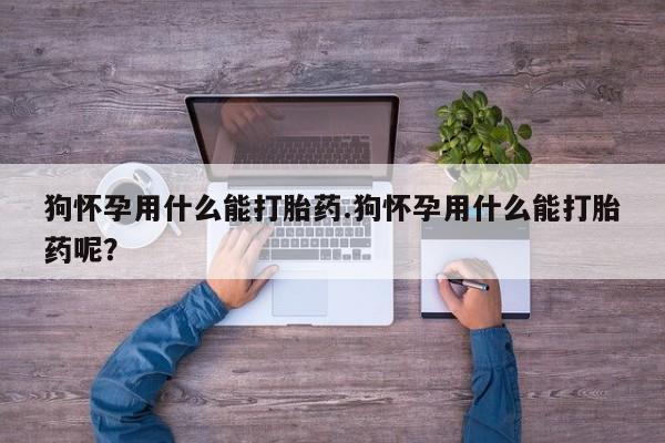 网上卖流产药联系方式，狗怀孕用什么能打胎药.狗怀孕用什么能打胎药呢？