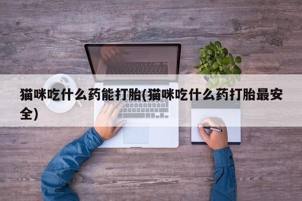 网上卖流产药联系方式，猫咪吃什么药能打胎(猫咪吃什么药打胎最安全)