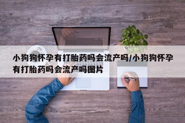 网上卖流产药联系方式，小狗狗怀孕有打胎药吗会流产吗/小狗狗怀孕有打胎药吗会流产吗图片