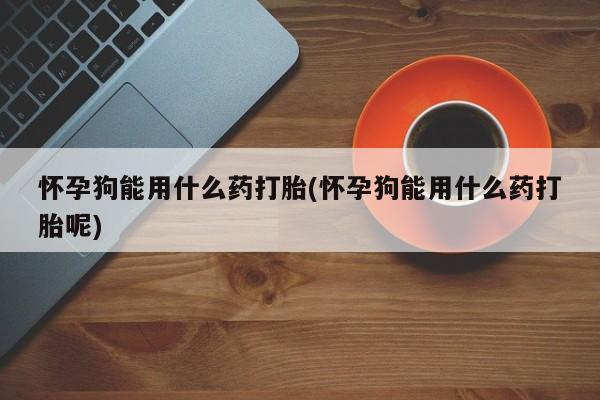 网上卖流产药联系方式，怀孕狗能用什么药打胎(怀孕狗能用什么药打胎呢)