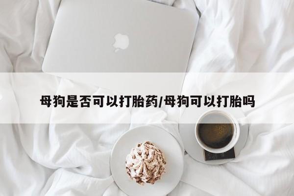 网上卖流产药联系方式，母狗是否可以打胎药/母狗可以打胎吗