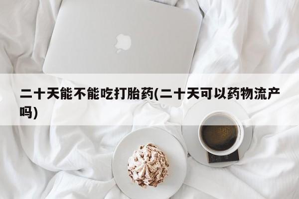 网上卖流产药联系方式,二十天能不能吃打胎药(二十天可以药物流产吗)